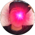 Foto de perfil de Francesco Cortez